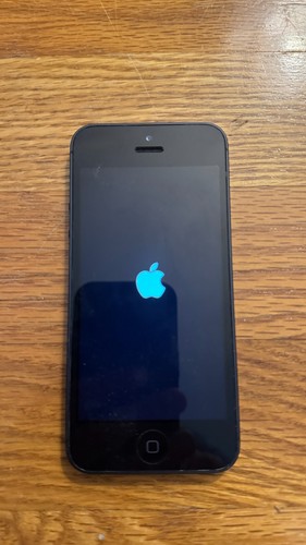 Apple iphone 16gb nero - apple, 5
